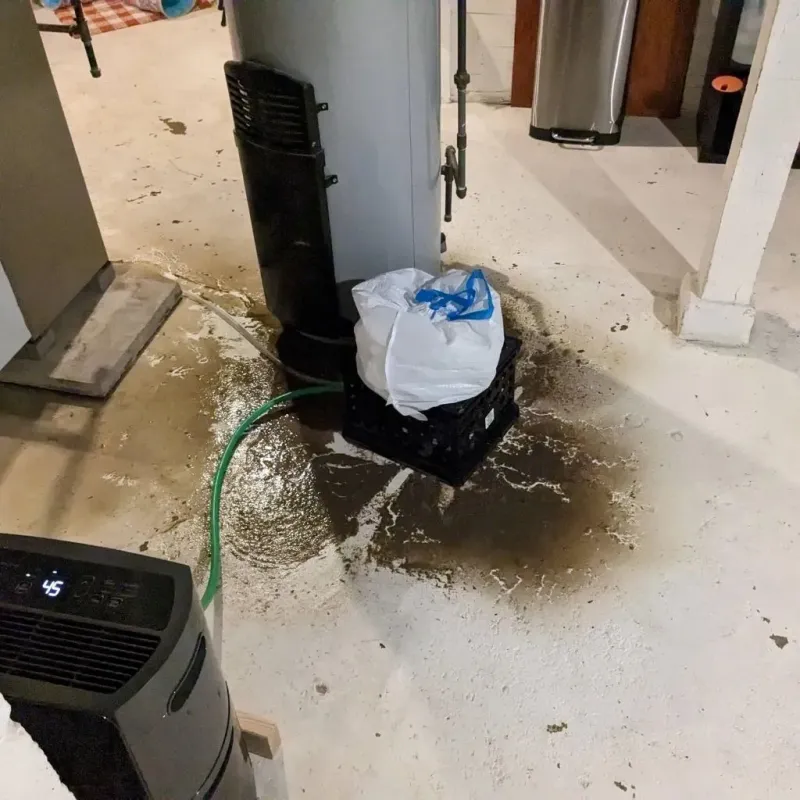 Sewage Backup Cleanup Service in Beavercreek, OH